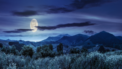 1522419954